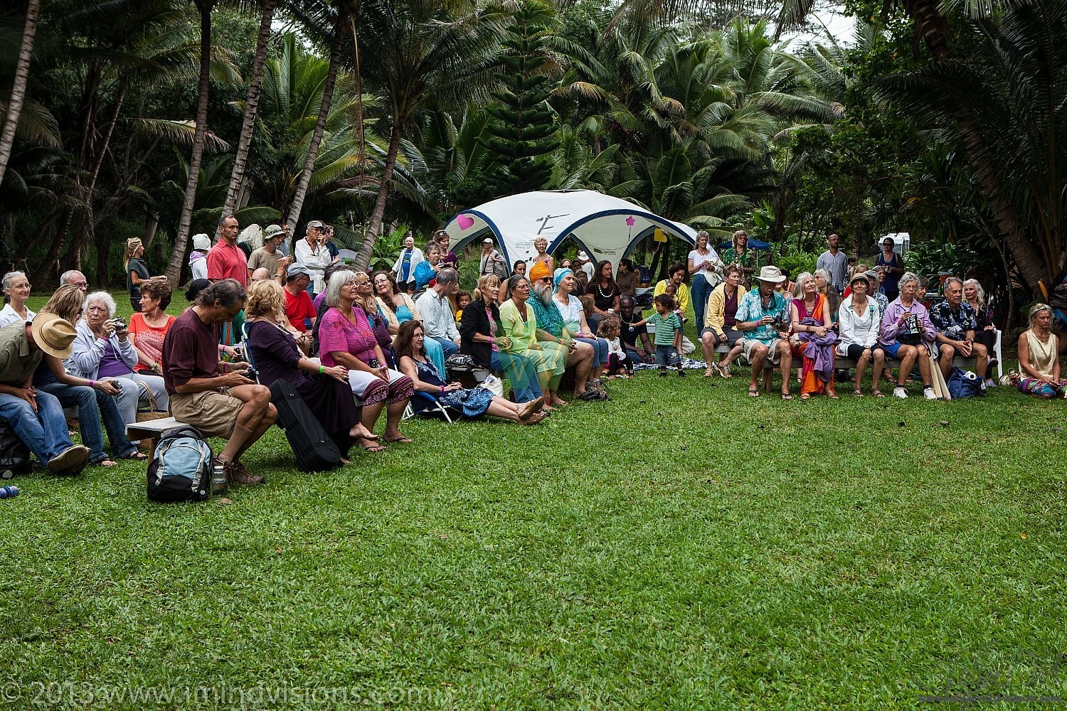 Taro Patch, New Year 2013