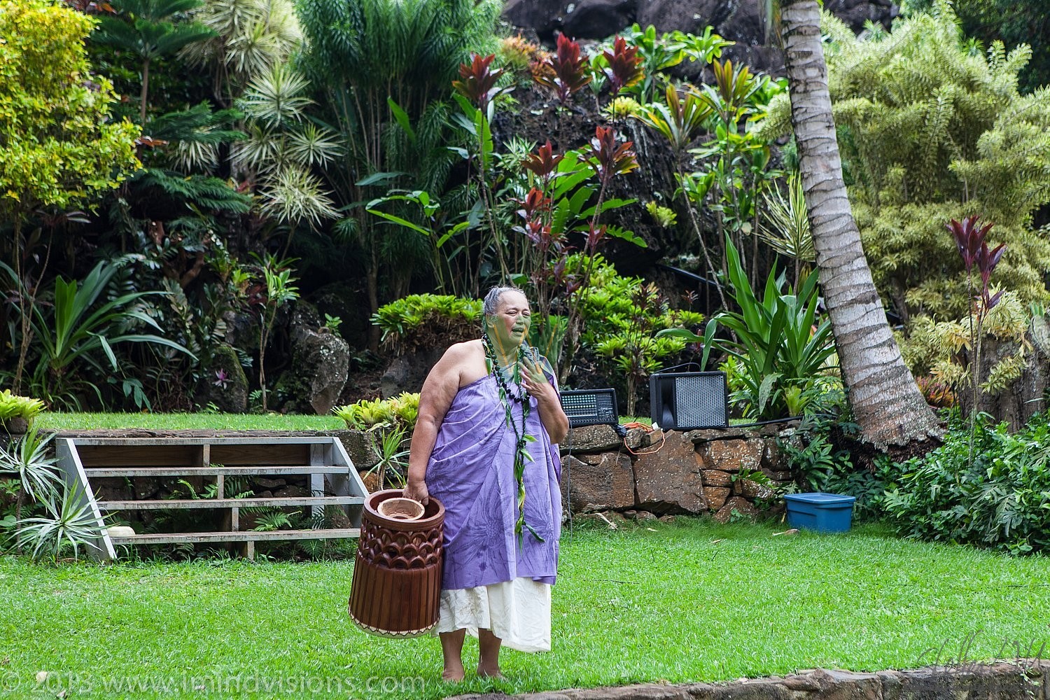 Taro Patch, New Year 2013