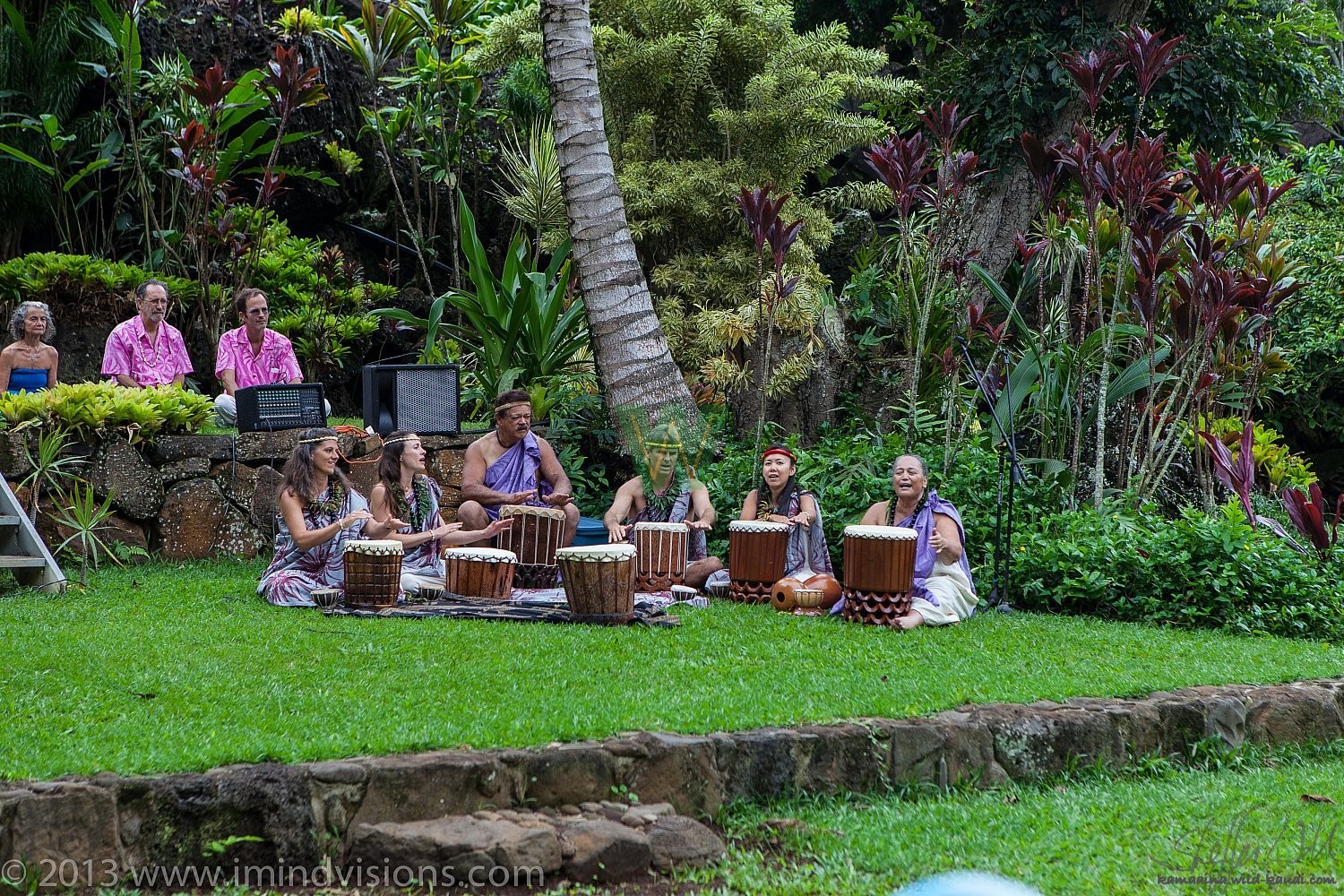Taro Patch, New Year 2013