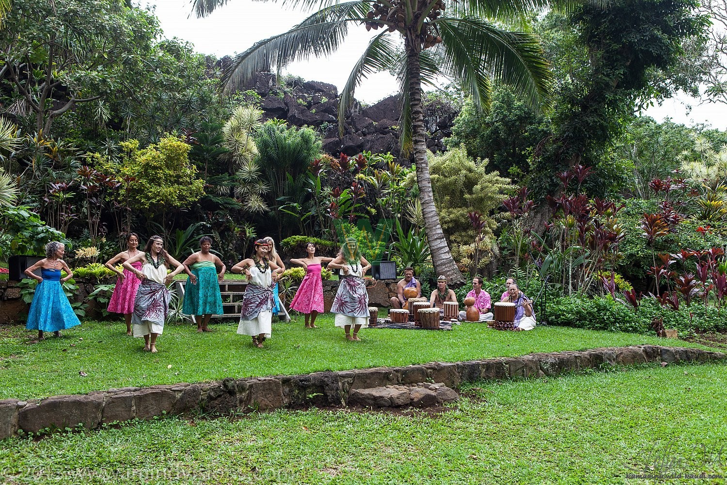Taro Patch, New Year 2013