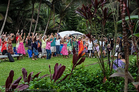 Taro Patch, New Year 2013