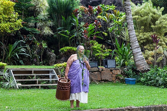Taro Patch, New Year 2013