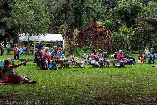 Taro Patch, New Year 2013