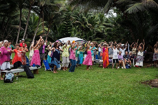New Year 2013, Taro Patch