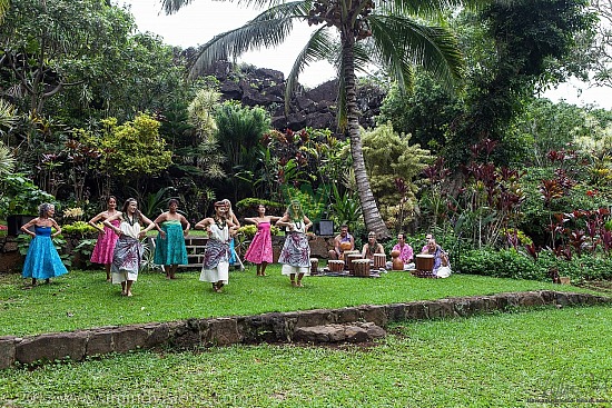 Taro Patch, New Year 2013