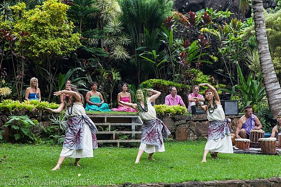 Taro Patch, New Year 2013