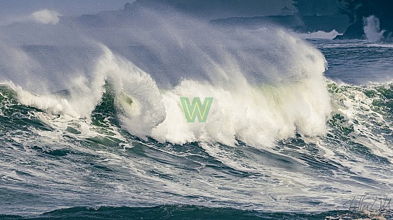 01/16/21, big wave surfing, haena, hāʻena