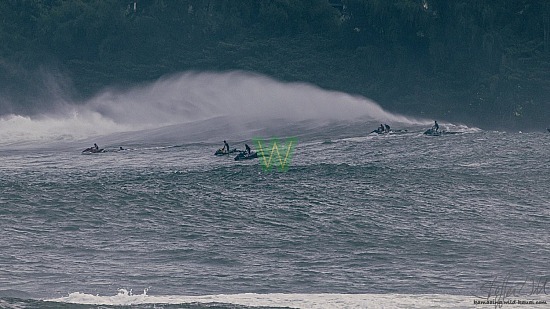 01/16/21, big wave surfing, haena, hāʻena