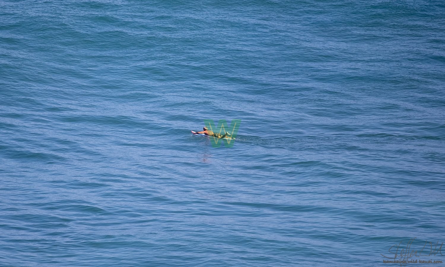 pila'a, pilaa, surf, surfer, surfing, wave, waves, 01/17/21