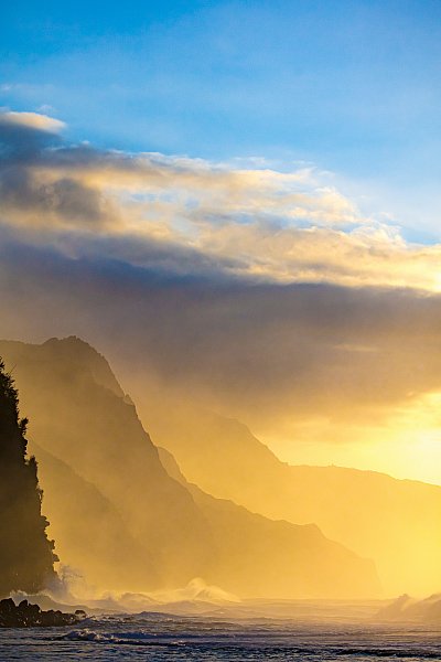 print-cswild_keeGoldenCoast.jpg